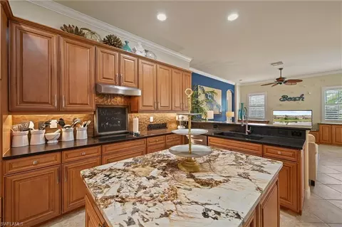 20970 Torre Del Lago St, Estero, FL 33928 photo 4