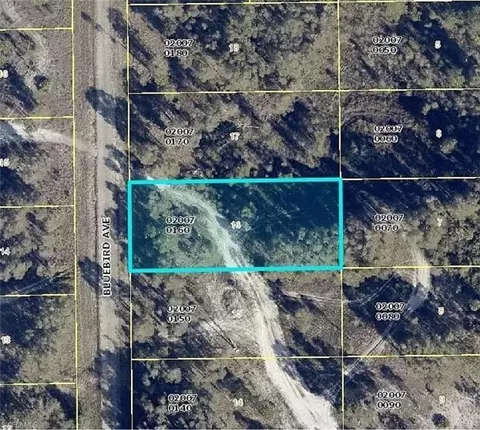 721 Bluebird Ave, Lehigh Acres, FL 33974