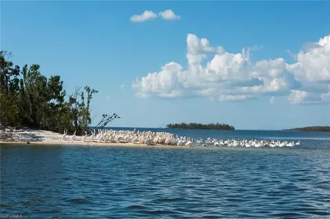 171 Sunset Cay, Naples, FL 34114 photo 48