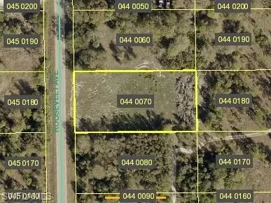 1110 Roosevelt Ave, Lehigh Acres, FL 33936