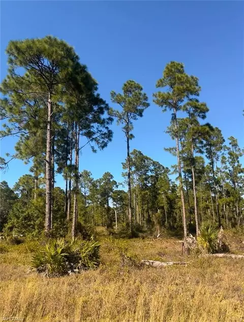 1107 Florence St E, Lehigh Acres, FL 33974