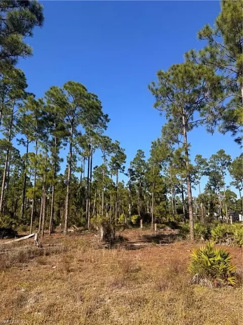 1111 Florence St E, Lehigh Acres, FL 33974