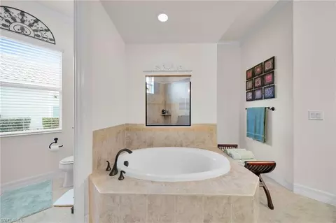 Bath - 21106 Torre Del Lago St, Estero, FL 33928 photo 3 of 7