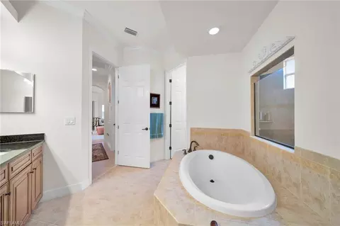 Bath - 21106 Torre Del Lago St, Estero, FL 33928 photo 5 of 7