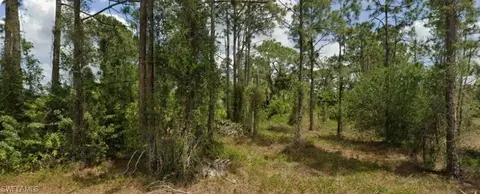 713 Clemwood Ave S, Lehigh Acres, FL 33974