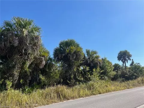 Dove Tree St, Naples, FL 34117 photo 2