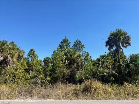 Dove Tree St, Naples, FL 34117