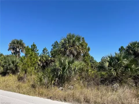 Dove Tree St, Naples, FL 34117 photo 3