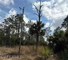 1242 Creary St E, Lehigh Acres, FL 33974