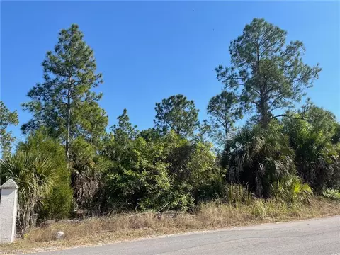 Dove Tree St, Naples, FL 34117 photo 2