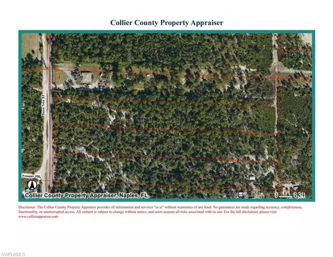 Dove Tree St, Naples, FL 34117 photo 5