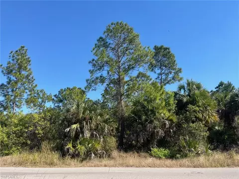 Dove Tree St, Naples, FL 34117