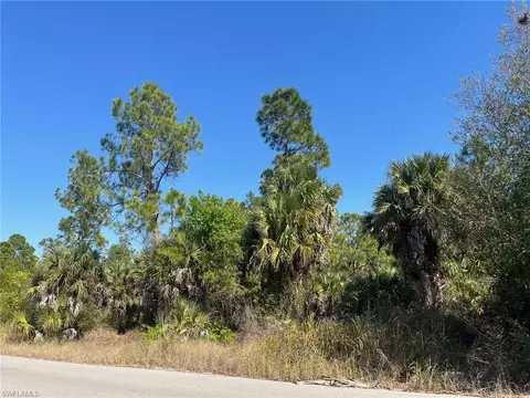 Dove Tree St, Naples, FL 34117 photo 3