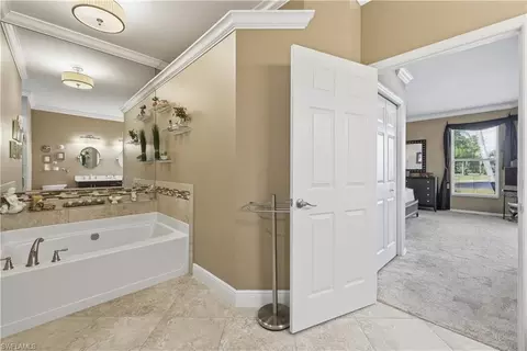 23108 Grassy Pine Dr, Estero, FL 33928 photo 23