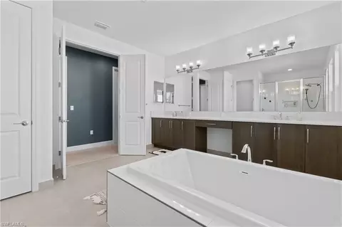 Bath - 20860 Thistle Leaf Ln, Estero, FL 33928 photo 3 of 8