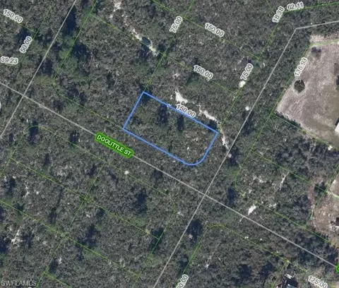1424 Doolittle St, Lake Placid, FL 33852