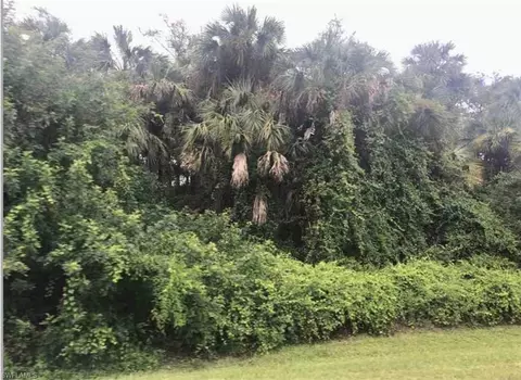 Nnn 14th Ave Nw, Naples, FL 34120