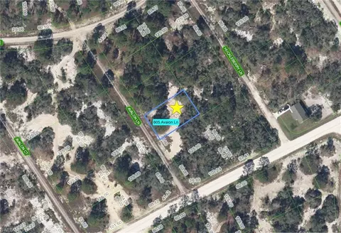 605 Avalon Ln, Lake Placid, FL 33852