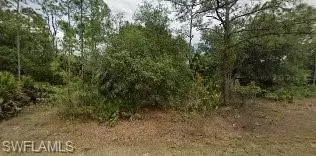 318 Wells Ave, Lehigh Acres, FL 33936