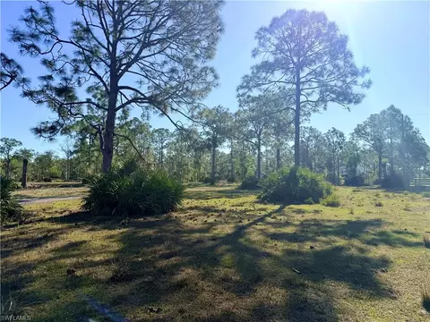 21151 Hidden Woods Trl, Estero, FL 33928 photo 5