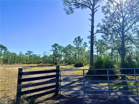 21151 Hidden Woods Trl, Estero, FL 33928 photo 6