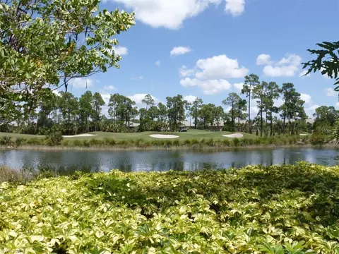 View/Area - 12567 Grandezza Cir, Estero, FL 33928 photo 9 of 12