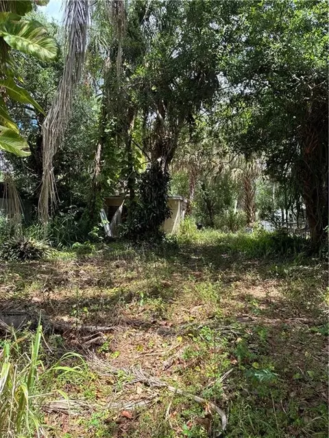 315 Buena Vista Blvd, Fort Myers, FL 33905