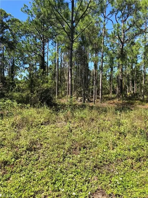 640 Naples Ave S, Lehigh Acres, FL 33974