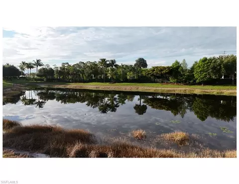 View/Area - 4118 Raffia Dr, Naples, FL 34119 photo 5 of 6