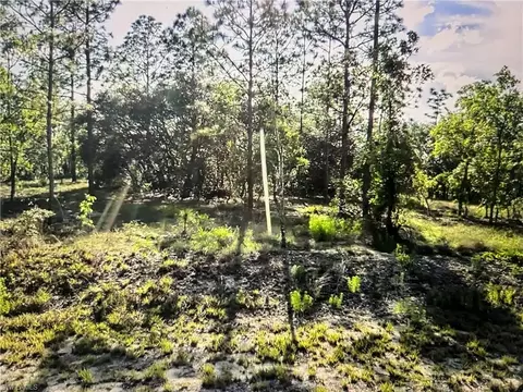 Undisclosed, Dunnellon, FL 34431