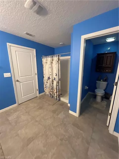 Bath - 444 Serenity Mill Loop, Ruskin, FL 33570 photo 3 of 4