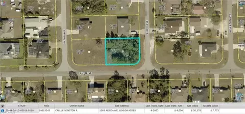1003 Alido Ave, Lehigh Acres, FL 33971