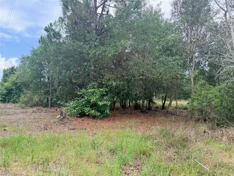 920 Sanctuary Rd W, Naples, FL 34120 photo 6
