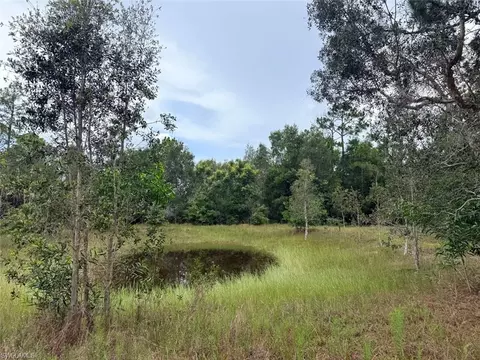 920 Sanctuary Rd W, Naples, FL 34120 photo 10