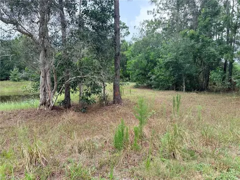920 Sanctuary Rd W, Naples, FL 34120 photo 15