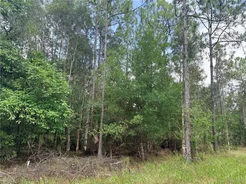 920 Sanctuary Rd W, Naples, FL 34120 photo 20