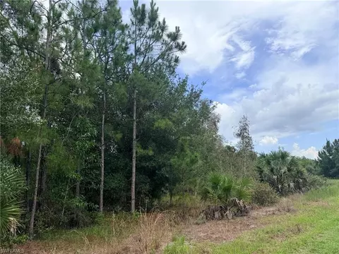 920 Sanctuary Rd W, Naples, FL 34120 photo 12