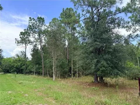 920 Sanctuary Rd W, Naples, FL 34120 photo 13