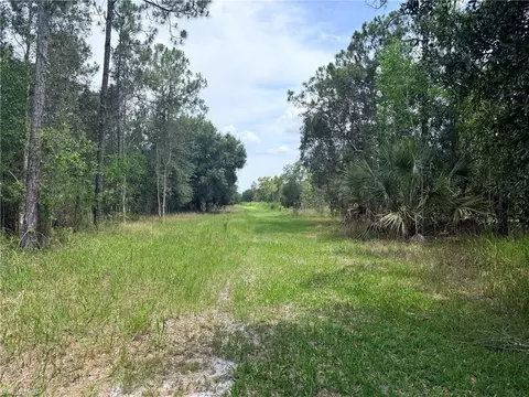 920 Sanctuary Rd W, Naples, FL 34120 photo 17