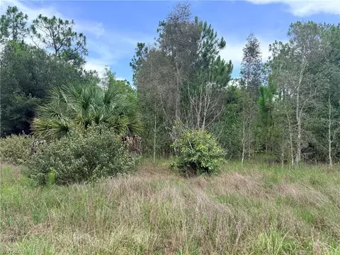 920 Sanctuary Rd W, Naples, FL 34120 photo 16