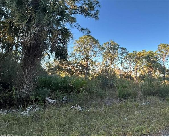 1945 Roderick Ln, Lehigh Acres, FL 33972