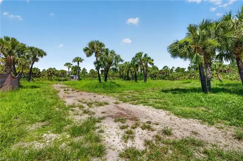 Nnn Ivy Way, Naples, FL 34117 photo 5