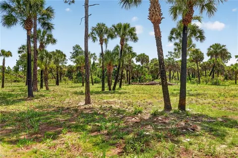 Nnn Ivy Way, Naples, FL 34117 photo 4