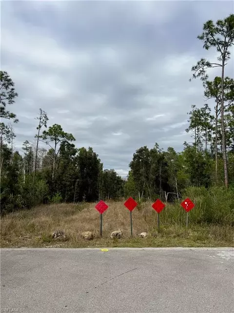 24265 Rocky Rd, Bonita Springs, FL 34135