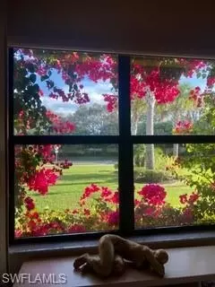 Other - 13421 Coronado Dr, Naples, FL 34109 photo 4 of 8