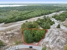 1329 Homosassa Ct, Kissimmee, FL 34759
