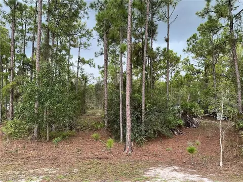 Exterior - 3740 45th Ave NE, Naples, FL 34120 photo 3 of 4