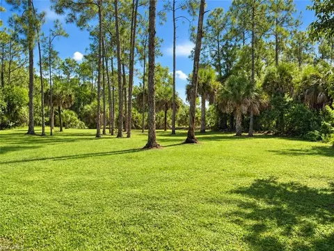 Exterior - 2982 2nd St NE, Naples, FL 34120 photo 10 of 12