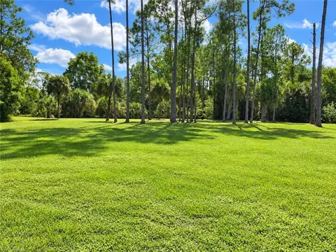 Exterior - 2982 2nd St NE, Naples, FL 34120 photo 11 of 12