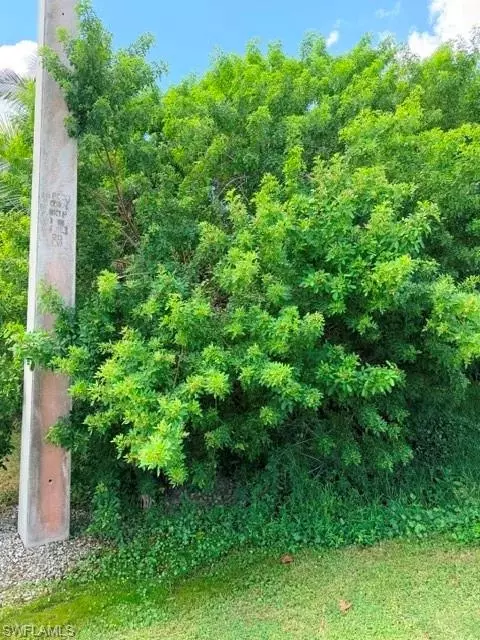 Danford St, Naples, FL 34112 photo 3
